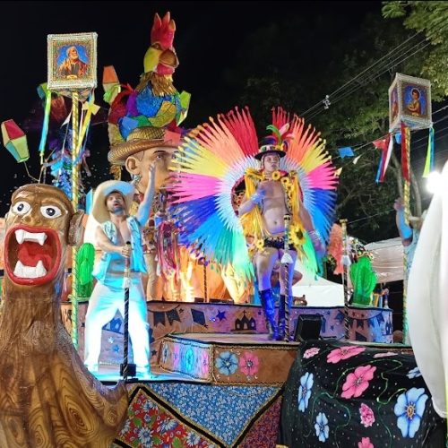 Unidos da Tamandaré – Desfile 2025